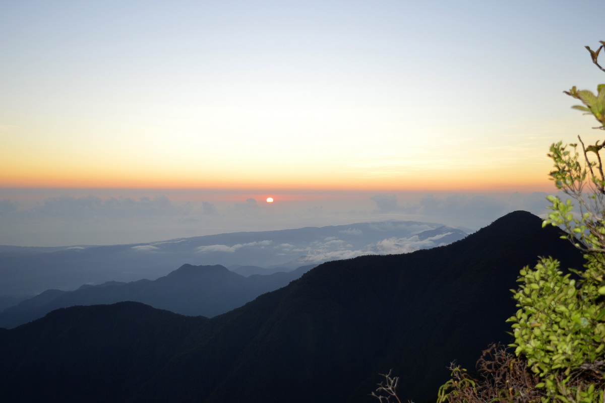 JamXTravel has the best travel experiences in Jamaica
